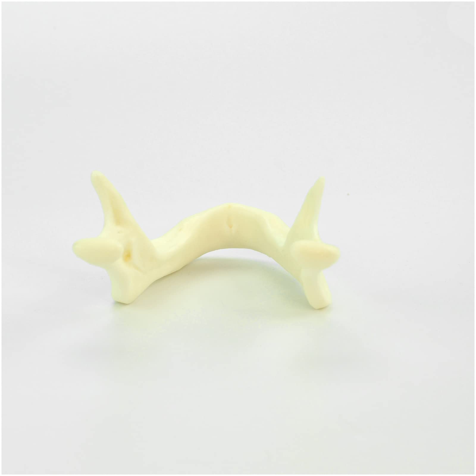 Model do ćwiczeń implantów jamy ustnej, model do pielęgnacji jamy ustnej, model do nauczania zębów dentystycznych - do praktyki bionicznej, nauczania praktycznego modelu egzaminacyjnego, ekspozycji