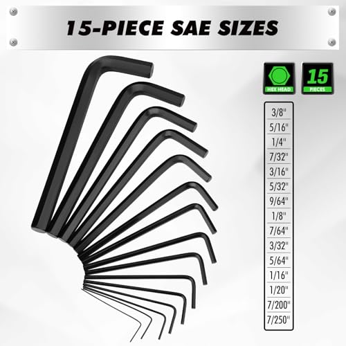 41-Piece Allen Wrench Set with Torque Handle