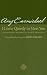 I Come Quietly to Meet You: An Intimate Journey in God's Presence