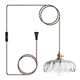 KAUDGHY Hanging Lamp Plug in Glass Pendant Light: Vintage Hanging Lamps Plug in, Adjustable Height for Kitchen Island Dining Room Living Room Bedroom