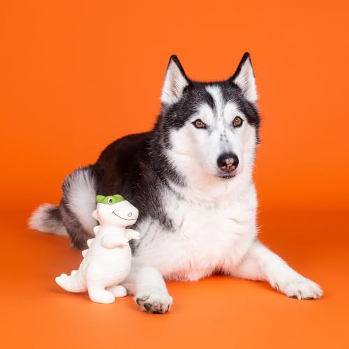 Fringe Studio Latex Dog Toy, HERE to Gauze Trouble PetShop Collection (366043)