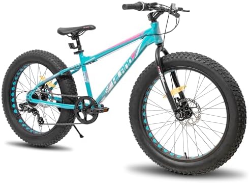 Hiland 20 Zoll Fat Tire Mountainbike, Strand- und Schneefahrrad f...