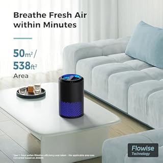 AROEVE Air Purifiers for Bedroom and Home, 7W Air Purifier with 22dB Seep Mode H13 HEPA Filter Smoke Pollen Dander Hair Smell Air Cleaner with Speed Control For Bedroom Office, DH-JH01A, Black