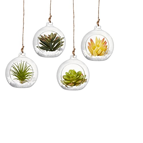 Terrarium en verre à suspendre (10,2 cm avec cordes)