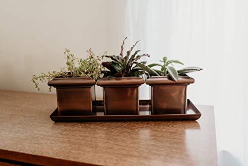 Indoor Succulent Herb Planter Pots Small Flower Cactus Planters Each Copper Pot Is 5 Inch Deep 5 Inch High Indoor Windowsill Plant Container For Planting With Drainage Tray Gar625 #TOP4
