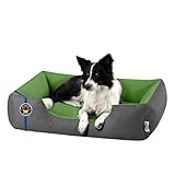 BedDog