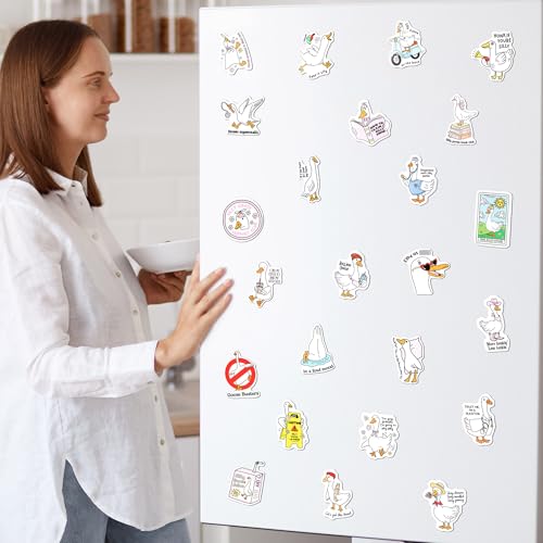 Imanes Decorativos Funny Goose Set 24 Piezas miniatura 4