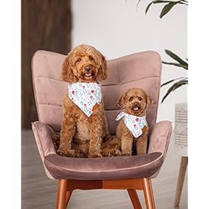 RemyRoo-Small-Spring-Dog-Bandanas-4-Pack-Elise-Set-Premium-Durable-Adjustable-Polyester-Fabric-Patented-Shape-Girl-Dog-Bandana-Floral-Dog-Bandana - Cucciolini Doodles RemyRoo-Small-Spring-Dog-Bandanas-4-Pack-Elise-Set-Premium-Durable-Adjustable-Polyester-Fabric-Patented-Shape-Girl-Dog-Bandana-Floral-Dog-Bandana