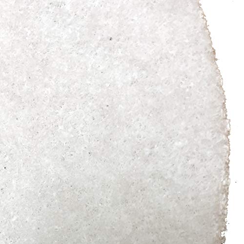 Image of Bissell BigGreen Commercial 437.051BG Polish Pad for BGEM9000 Easy Motion Floor Machine, 12 inch, White