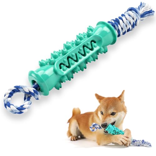 Dog Chew Toys for Medium Large Dogs, Toothbrush Toy with Rope - image 1