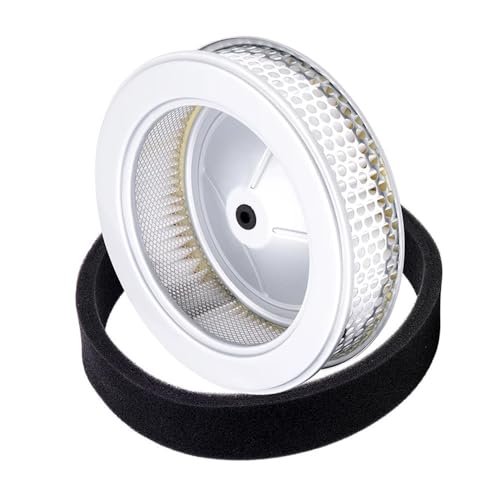 Filtre pour GX630 à GX690 protégeant le moteur des poussières