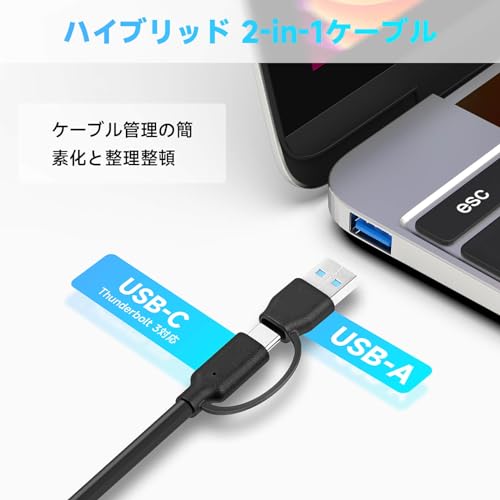 ROSONWAY USB ハブ10Gbps 11ポート 20W PDx1 USB C 3.2x2 USB A 3.2x1 USB 3.0x7 2 in 1 ケーブル 付き アルミ製 USB HUB セルフパワーとバスパワー両用 12V 5A 電源 独立スイッチ付き(RSH-A11PD)
