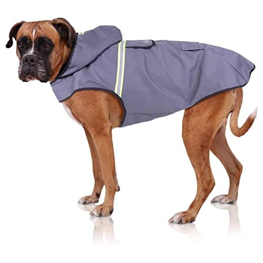 Bella & Balu Hunderegenmantel - Wasserdichter Hundemantel mit Kapuze und Reflektoren für trockene, sichere Gassigänge, den Hundespielplatz und den Urlaub mit Hund (L - Grau)