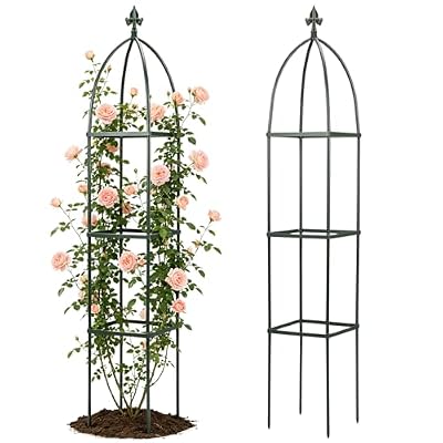 Lancisism 100% Metal Trellis for Climbing Plants Outdoor - Garden Metal Obelisk Trellis Vertical Plant Support for Climbing Vines & Flowers - Sturdy Steel Arch Trellis for Potted Plants Indoor Green