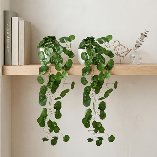 Image of Dekorly Artificial Hanging Garland with Pot - 100cm Rose Vine, 10cm Decorative Pot for Table, Shelf & Wall Decor (2, Vines-08)