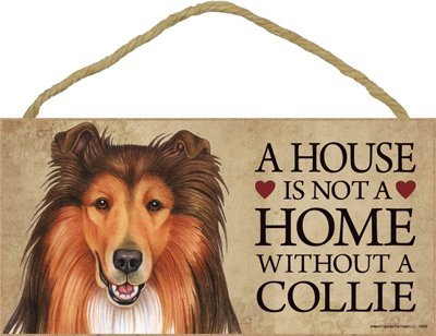 A house is not a home without Collie Dog - 5