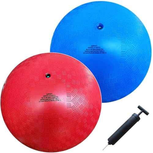AppleRound 10-inch Dodgeball Playground Balls, Pack of 2 Balls with Pump, Official Size for Dodge