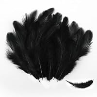 Federn, 200 Stück 7-12cm Federn zum Basteln, Natürliche Feder, Bastelfedern Set für Masken, Traumfänger, Ohrringe, Kunsthandwerk, Hochzeiten, Zuhause, Ostern, Erntedankfest und Halloween (Schwarz)