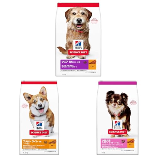 yZbgzqY TCGX_CGbg hbOt[h VjAvX  10Έȏ `L 12s p hC + qY TCGX_CGbg hbOt[h A_g Cg 1~6  `L 6.5s p hC 얞 + qY