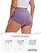 INNERSY Women's Plus Size Underwear High Waisted Full Coverage Soft Stretch Cotton Boy Shorts Panties 4-Pack (Misty Horizon, 3X)