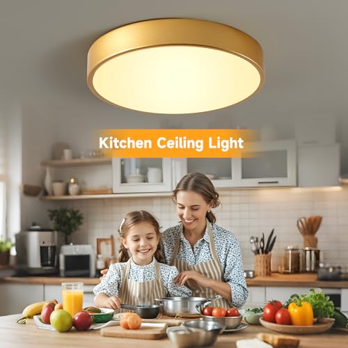 Image of Flush Mount Ceiling Light Fixtures Gold LED Dimmable 5CCT 12In 24W 2Pack
