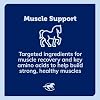 Acetyl L-Carnitine HCL Powder | Horse Energy Supplement & Muscle Supplement for Horses Supporting Muscle Function & More | Antioxidant-Rich Pure Formula | 1 lb Bag