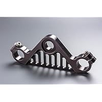 Amazon | トミナガレーシングファクトリー NSF100 NSR-mini トップ