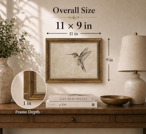 Image of Gold Framed 3D Textured Wall Art, Vintage Sketch Hummingbird Canvas Prints, Minimalist Neutral Birds Pictures Decor, Antique Naturalist Specimen Painting Artwork for Living Room Bathroom 9x11 in