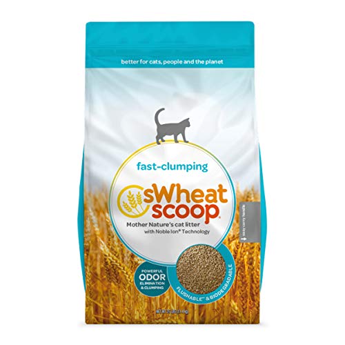 Best Clumping Cat Litter Reviews 2020 My Pet Likes It