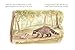Our Little Adventures: Stories Featuring Foundational Language Concepts for Growing Minds: 1...