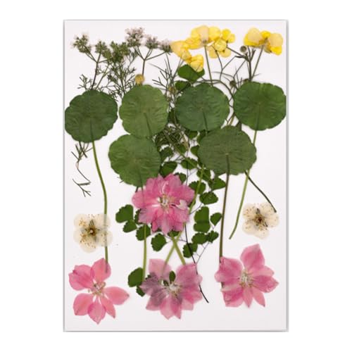 VRԃhCt[tZbgXNbvubLOWG[쐬tHgt[dbP[XubN}[NNGCeBuA[gvWFNg