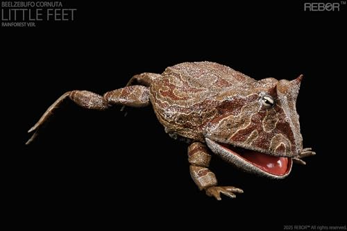 Beelzebufo Ampinga figurine grenouille 1:2 de collection AMITD - 7