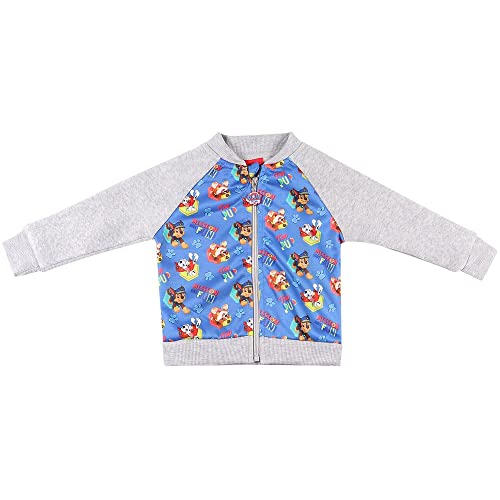 Blusão Infantil Manga Longa Patrulha Canina Cinza- ViaCom 1