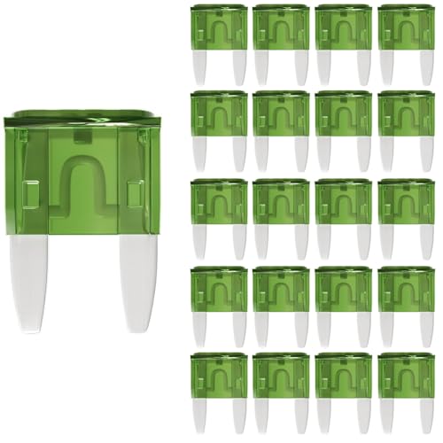 Gebildet 30A Mini Fuse 30 AMP ATM APM Blade Car Fuses 30Amp Automotive Fusibles for RV Auto Motorcycle Truck (Pack of 20Pcs)