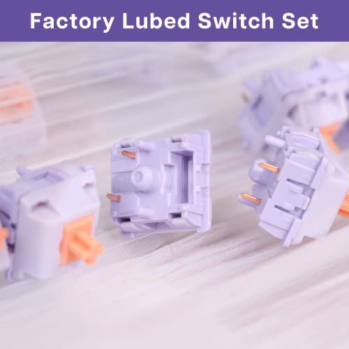 Image of EPOMAKER Mechanical Switches Set for Mechanical Gaming Keyboard, 100 Pieces, Pre-Lubed Switch, Linear /Tactile /Clicky, 5-Pin Creamy Switch with MX Keycaps (Wisteria(Tactile))