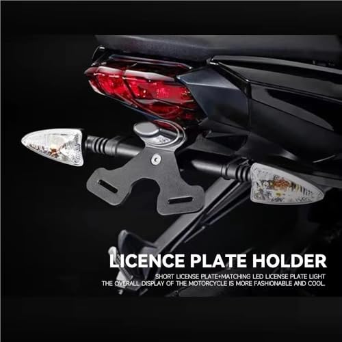 Support de plaque à queue courte rigide pour Street Triple 675 R et 765