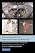 Development of Professional Expertise: Toward Measurement of Expert Performance and Design of Optimal Learning Environments