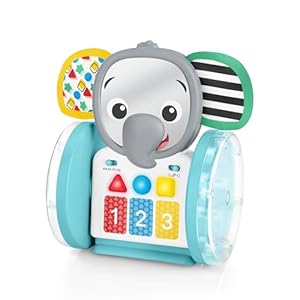Baby Einstein Toys for Kids