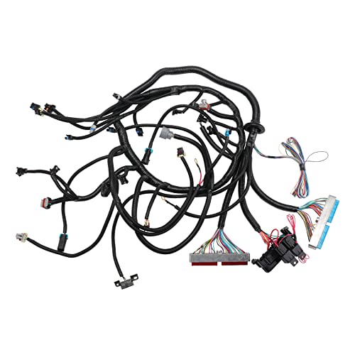 DYRDINSHOW Harness