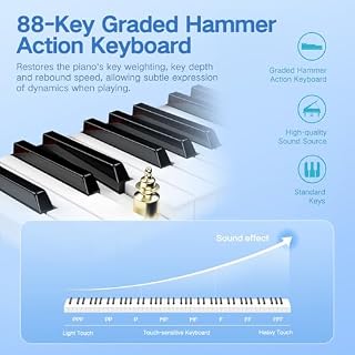 TERENCE Piano Numérique 88 Touches avec Mécanisme de Marteau Gradué 2x25W Haut-parleurs HiFi Doubles Enregistrement Vidéo Mobile Bluetooth MIDI Prise en Charge des Casques et des Haut-parleurs - Les Beatles, Paul McCartney, John Lennon, RIngo Starr, George Harrison TERENCE Piano Numérique 88 Touches avec Mécanisme de Marteau Gradué 2x25W Haut-parleurs HiFi Doubles Enregistrement Vidéo Mobile Bluetooth MIDI Prise en Charge des Casques et des Haut-parleurs – Image 2