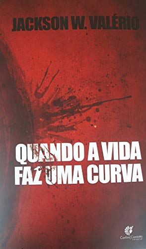 Quando a Vida Faz Uma Curva: (O mais grave acidente havido na estrada para Chapada dos Guimarães/MT)