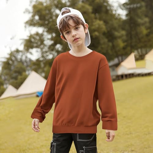 Kids Boys Girls Crewneck Sweatshirt Cute Solid Color Lightweight Soft Fleece Long Sleeve Fall Winter Pullover Tops4