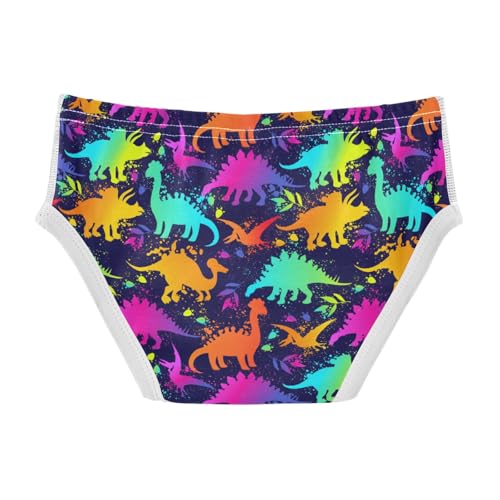 Boys' Exclusive Briefs Toddler Underwear 95% Combed Cotton Boxerbriefs 2T Rainbow Dinosaur Pattern 52