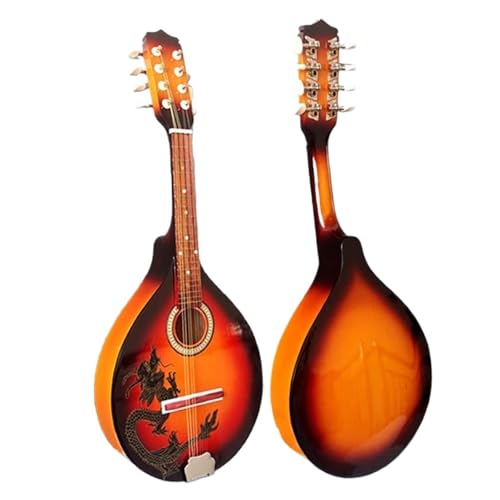 Questo mandolino è ideale per principianti e musicisti esperti. È facile da suonare, può essere facilmente accordato e mantiene un tono coerente.
