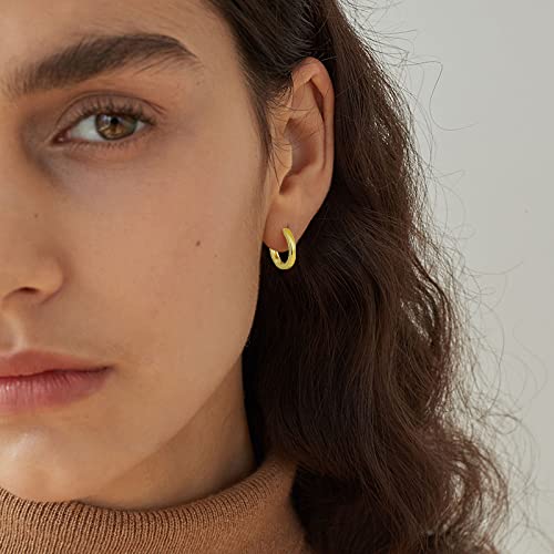 Micuco Small Hoop Earrings For Women 14K Gold Plated Hoop Huggie Earrings For Men Hypoallergenic Earrings Tiny Cartilage Ear Jewelry For Women 14K Gold Plated 8Mm 10Mm 12Mm #TOP5