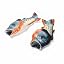 Pearl Danio