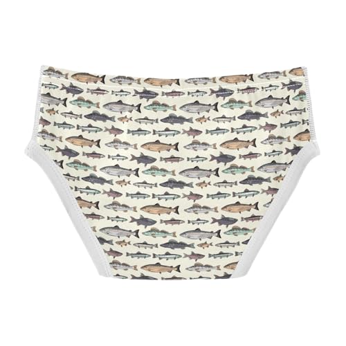 Boys' Exclusive Briefs Toddler Underwear 95% Combed Cotton Boxerbriefs 2T School Of Fish 1042