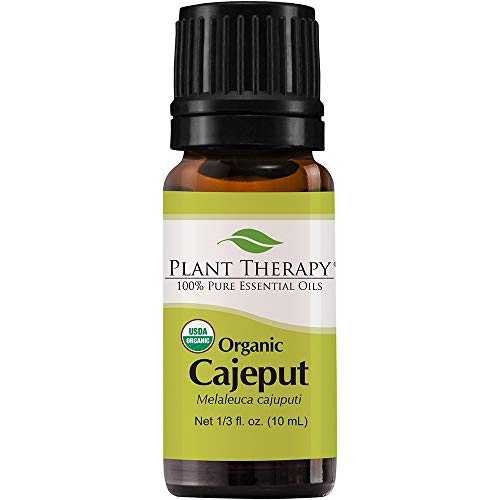 Plant Therapy USDA Certified Organic cajeput Essential Oil 100% Pure, Undiluted, Therapeutic Grade 10 Ml (1/3 Oz)