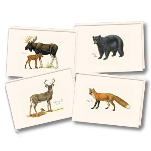Image of Earth Sky + Water - Mammal Notecard Set - 8 Blank Cards with Envelopes (2 each of 4 styles)