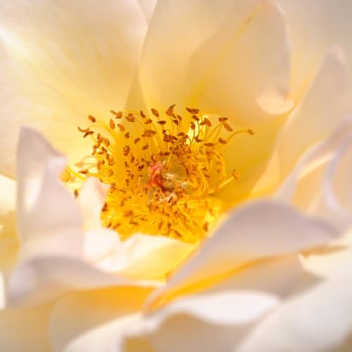 Menos regalos y m&aacute;s amor